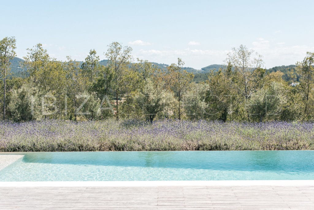 View over infinity pool into a bed of blossoming bushes