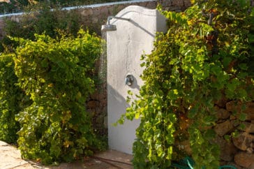 Outdoor shower surrounded by green bushes