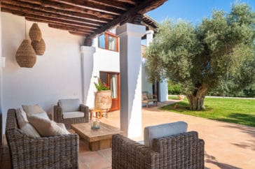 Lounge suite on the roofed veranda looking to lawn garden with an olive tree