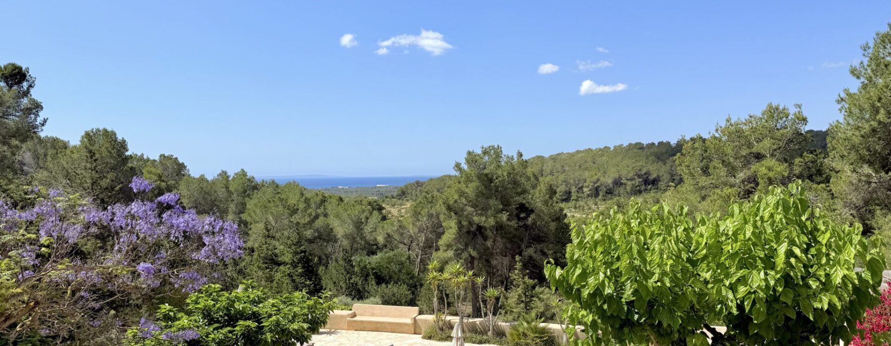 Foto 24 5 25, 11 32 00