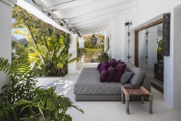 Sofa bed on the roofed veranda decorated with palms and plants