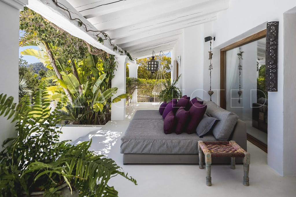 Sofa bed on the roofed veranda decorated with palms and plants