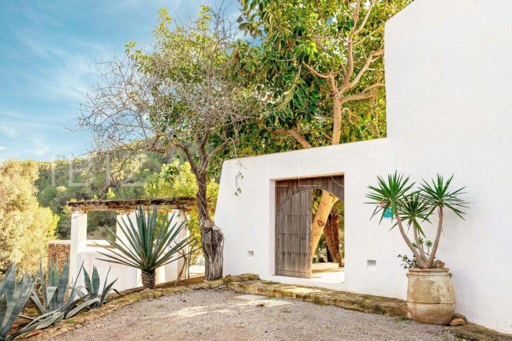 Finca Lavanda 14082025 010659745