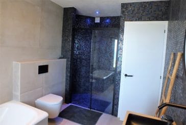 Dark mosaic walk-in shower of bathroom with toilet and bathtub