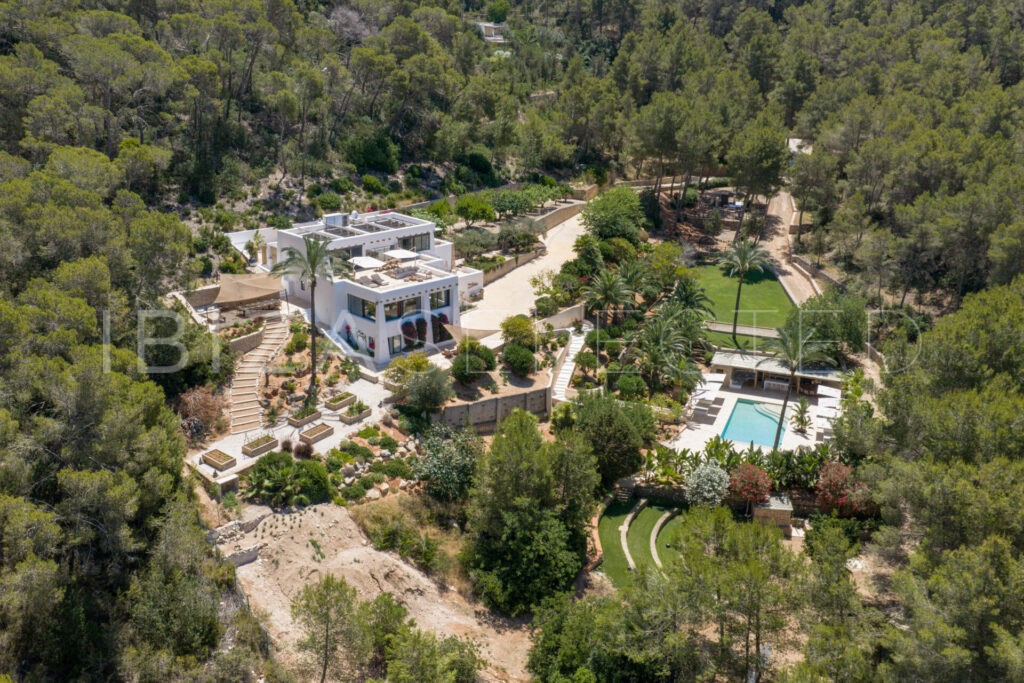 AERIAL 1