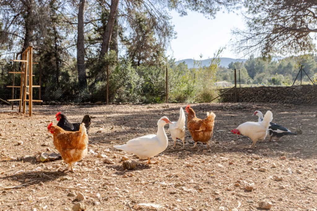 0636bed4 A7b7 4178 Ac3d C4ee94bf1ce8