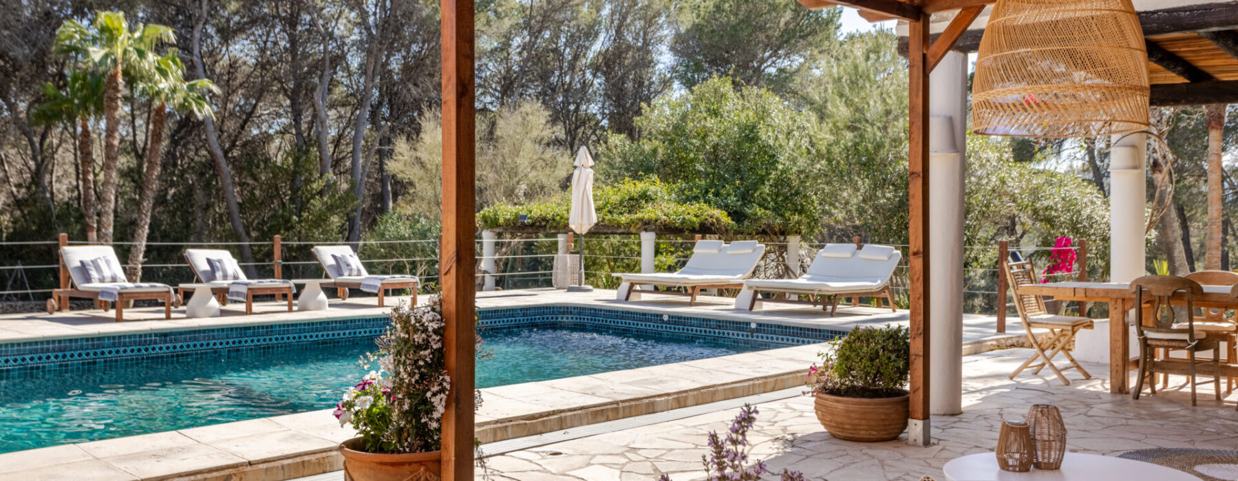 7334e2cd 1ef3 43a8 91c5 Db4e48a2ef3d