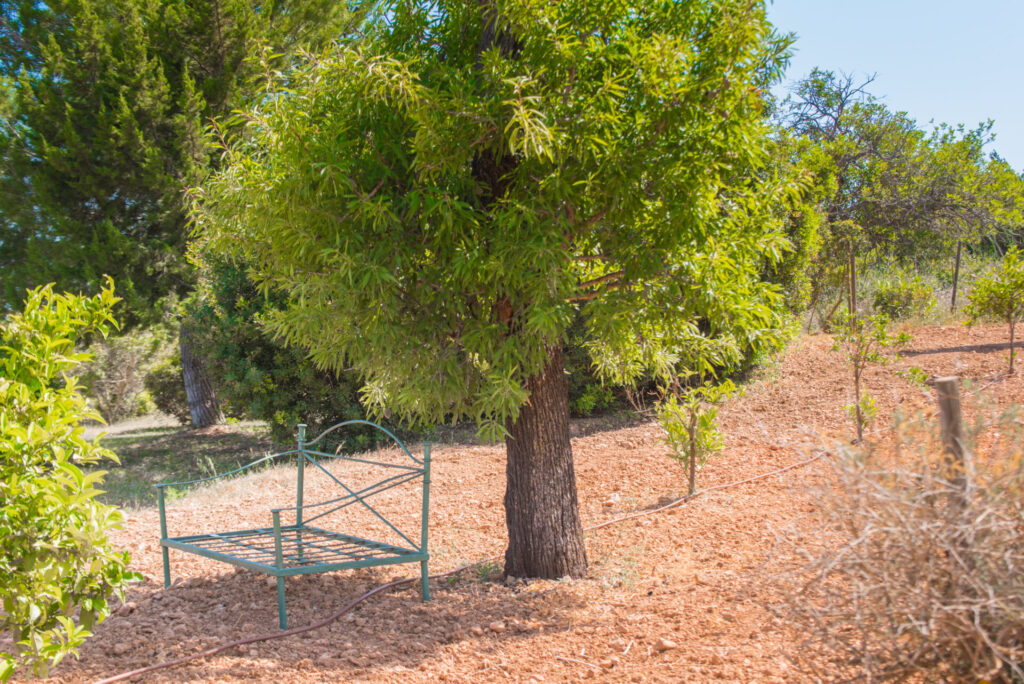 Garden1