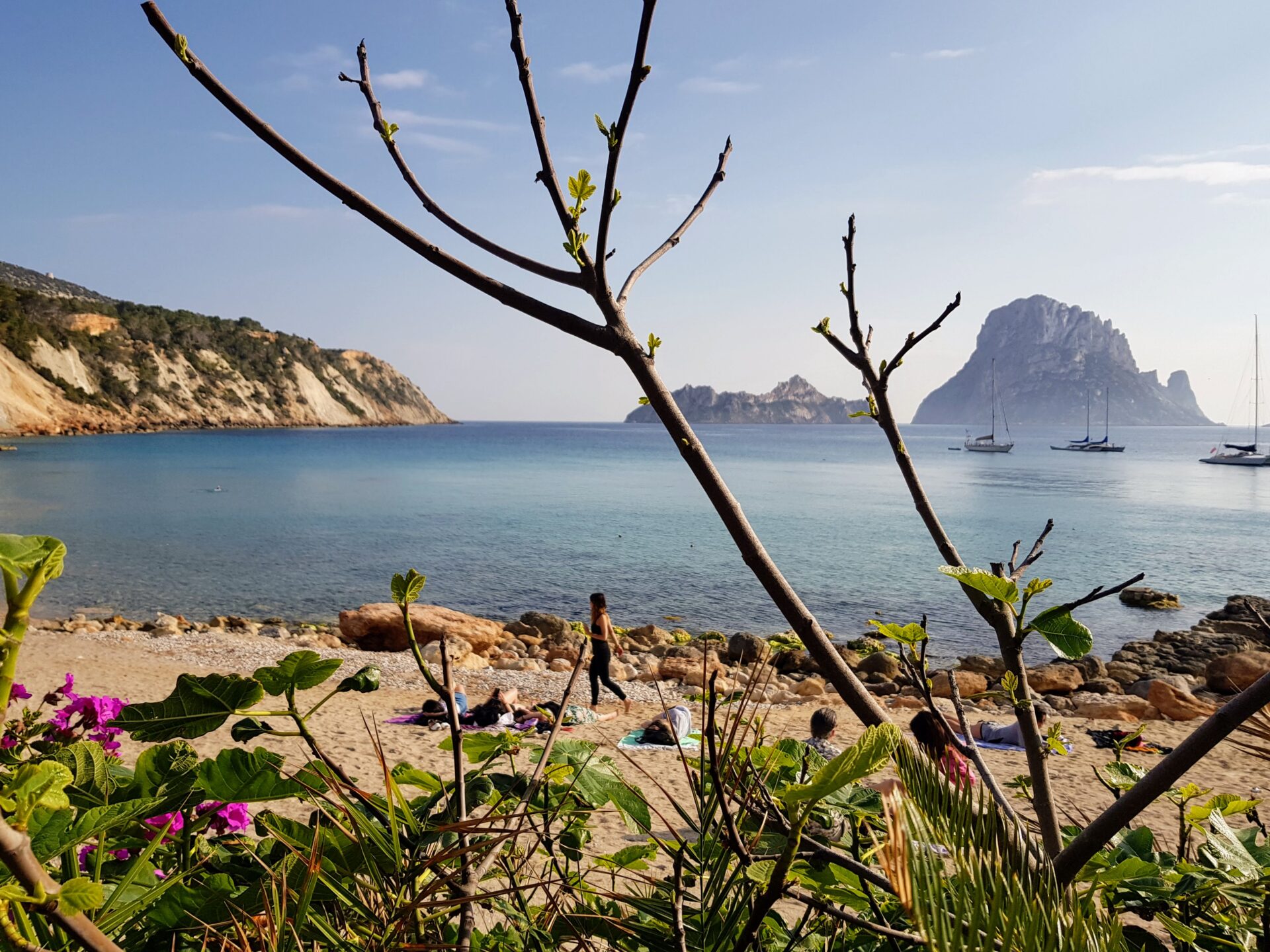 View Of Es Vedrà From Cala D'hort And Flowers