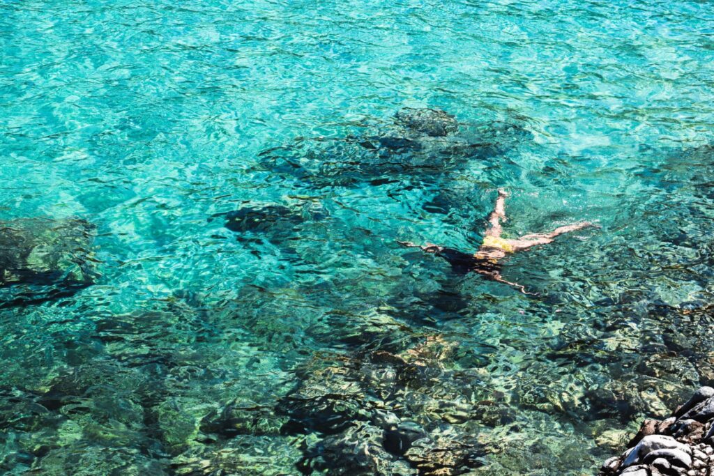 Pexels Giota Sakellariou 2323975 4091950