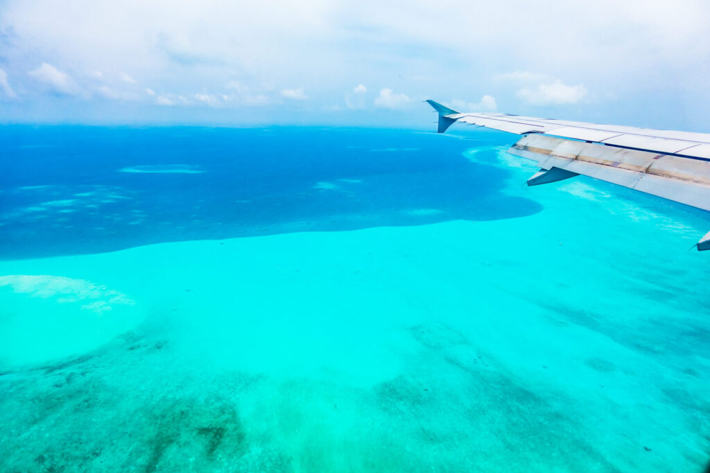 Airplane Wing